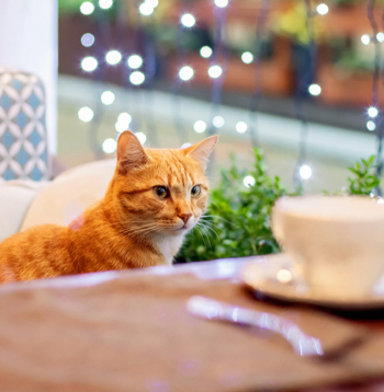 Ilustratīvs attēls.