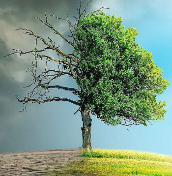 Pasaule jau šobrīd ir sasilusi par 1,3 grādiem, salīdzinot ar industriālās ēras sākumu, un iespējas apstāties pie pusotra grāda robežas, kā to paredz 2015. gada Parīzes līgums, ir samērā niecīgas. Lai to panāktu, 2035. gadā oglekļa emisijas būtu jāsamazina nevis par 10%, salīdzinot ar 2019. gadu, bet gan par 60%.