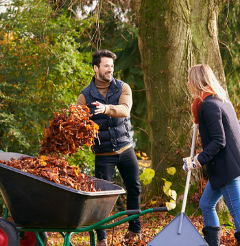 Plānojot lapu grābšanu, jāseko līdzi laika apstākļu prognozēm.