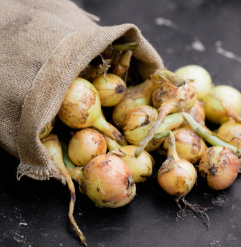 Glabāšanai noder rupja auduma maisiņi.