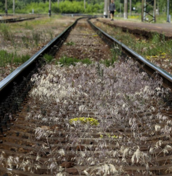 Ilustratīvs attēls.