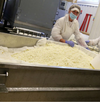 AS "Tukuma piens" ražotne. Ilustratīvs attēls. AS "Tukuma piens" ražotne. Ilustratīvs attēls.