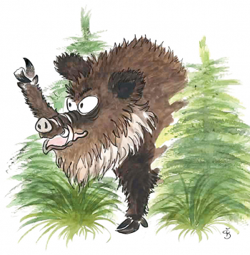 Pēkšņi no biezokņa pavisam blakus man parādījās liela galva… Sirma, masīva, acis kā pogas, deguns tvaikoja. Tas bija kuilis, kam pat lācis dotu ceļu!