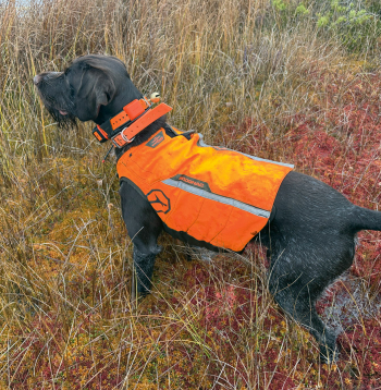 Šīs vestes ražo Francijas uzņēmums "Solognac", un tās var iegādāties interneta veikalā "decathlon.lv" vai "Decathlon" veikalos Rīgā.