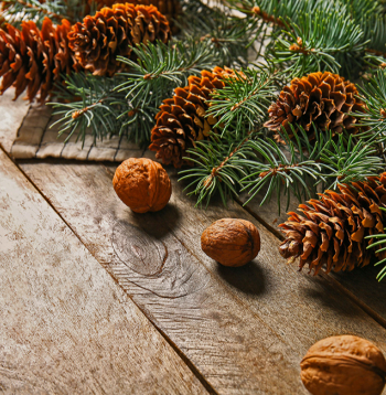 Ilustratīvs attēls.