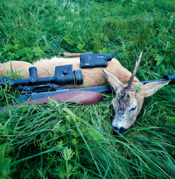 Buks nomedīts jūlija otrajā pusē Pulsar Oryx (Ieskaties.lv) testa medībās.