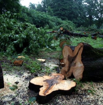 Ilustratīvs attēls.