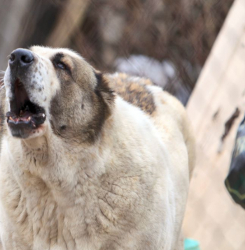 Ilustratīvs attēls.