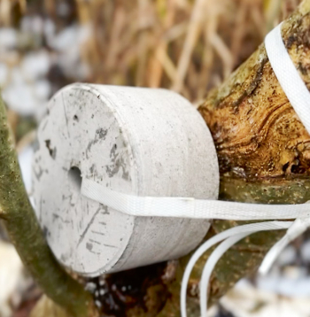 Laizāmā sāls pieejamība ir populācijas veselības uzturēšanas pamata sastāvdaļa.