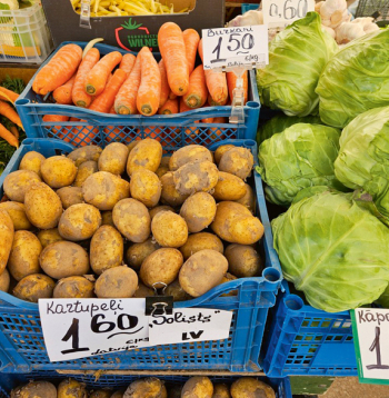 Aizvadītajā gadā dārzeņu audzēšana bija izaicinājums jau no to stādīšanas brīža – raža atšķiras pa reģioniem, tās uzglabāšana apgrūtināta visiem.