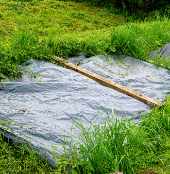 Labs nezāļu iznīcināšanas paņēmiens ir noklāt augsni ar agrotekstilu.