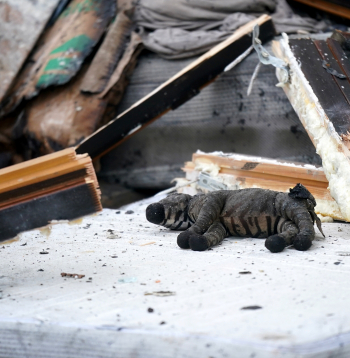 VUGD strādā sadegušajā mājā Jaunlazdu ielā 5.