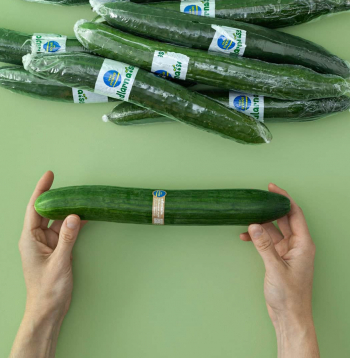 Jaunais pārklājums.