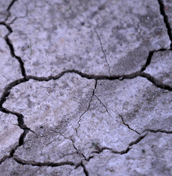Sausa, saplaisājusi zeme.