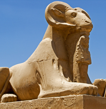 Ēģiptes auns no Karnakas tempļa (Luksora). Ēģiptes auns no Karnakas tempļa (Luksora).