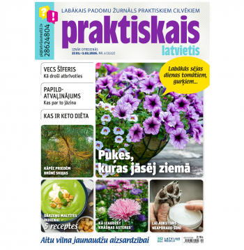 Jaunā žurnāla vāks.