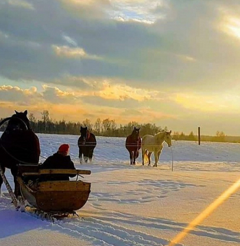 Šoziem var izbaudīt reti iespējamu izklaidi – braucienu zirgu vilktās kamanās.