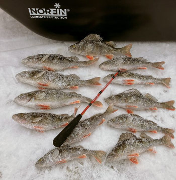 Ja copes stratēģija izvēlēta īstā, labs loms neizpaliek.