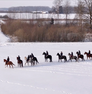 Ziemas fotosesija ar zirgiem.