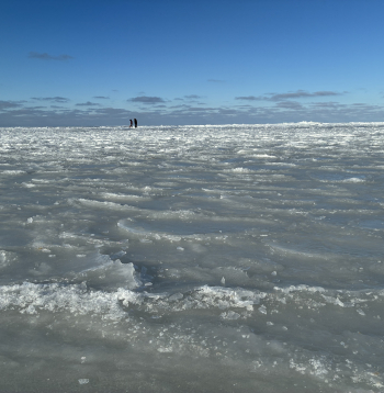 Aizsalusi jūra. Vecāķi.