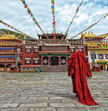 Lama dodas uz templi.