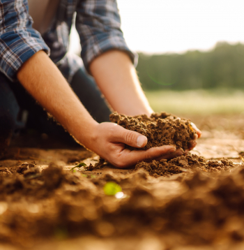 Augi, kas augs auglīgā, strukturētā augsnē, nenonāks stresa stāvoklī un dos labu ražu.