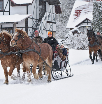 Izbraucieni divjūga kamanās pa ainavisko zirgu sētas "Klajumi" apkārtni Krāslavas novadā šoziem ir ļoti iecienīti. "Klajumu" jaunsaimniecība izveidota ar ulmaņlaiku valsts politikas atbalstu, lai stiprinātu Latvijas austrumu robežu. Šobrīd tā ir Latvijas šķirnes zirgu audzēšanas un bioloģiskā saimniecība. Izbraucieni divjūga kamanās pa ainavisko zirgu sētas "Klajumi" apkārtni Krāslavas novadā šoziem ir ļoti iecienīti. "Klajumu" jaunsaimniecība izveidota ar ulmaņlaiku valsts politikas atbalstu, lai stiprinātu Latvijas austrumu robežu. Šobrīd tā ir Latvijas šķirnes zirgu audzēšanas un bioloģiskā saimniecība.