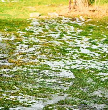 Kaļķošana uz sniega var būt pieļaujama, ja sniega sega ir plāna, augsne jau sāk atkust un nav gaidāma strauja noteces veidošanās.
