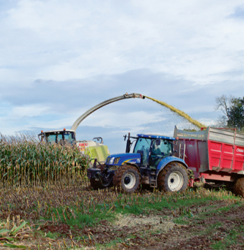 Pagājušajā sezonā laika apstākļi ietekmēja ne vien barības sagādes laiku, bet arī tās bioloģisko vērtību.