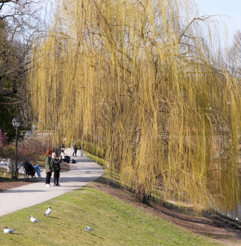 Rīgas pilsētas kanāls pavasarī.