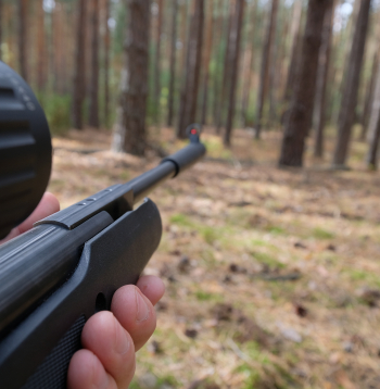 Valsts policija sākusi kriminālprocesu un administratīvā pārkāpuma procesus par gadījumiem Rīgā, kad Rītabuļļos un Imantā tika šauts cilvēkiem. Izvirzīta versija, ka šauts ar pneimatisko ieroci, taču vēl tiek skaidrots ekspertīzē.