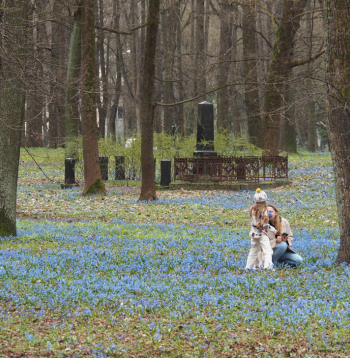 Rīgas Lielajos kapos
pavasaris atnāk ar savu vienkāršo, dabisko rotu – zilziedītēm.