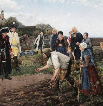 Frīdrihs II pārbauda kartupeļu ražu. 19. gs. glezna.