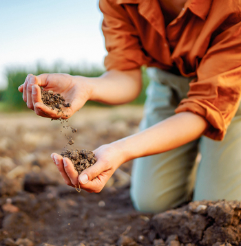 Paraugus var ņemt visu gadu neatkarīgi no laika apstākļiem gan vēlā rudenī, gan lietus laikā.