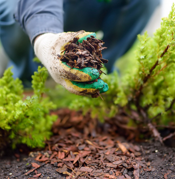 Ilustratīvs attēls.