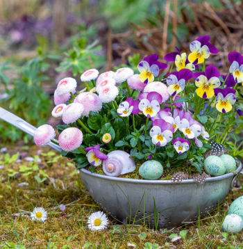 Savu laiku nokalpojušais caurduris ticis pie skaistas rotas.