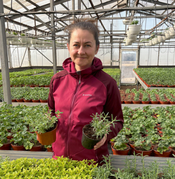 ZS "Zutiņi" saimniece Santa Meļķe: "Jau marta pēdējās dienās klientiem izsūtījām garšaugus Lieldienu mielastam – timiāns, raudene, rozmarīns un vēl citi garšaugi vienlaikus būs gan galda dekors, gan baudāmi produkti."