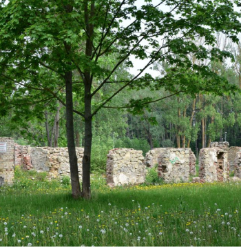 Ilustratīvs attēls. Ilustratīvs attēls.