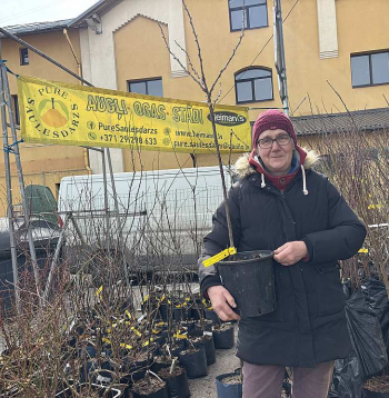 "Cilvēki pieprasa aizvien vairāk ērtību ražas vākšanā un selekcionāri izpilda pasūtījumu," teic stādaudzētavas "Saulesdārzs Pūre" saimniece Melita Dimza. "Mūsu sortimentā šopavasar ir divas augststumbra ērkšķogu šķirnes – 'Invikta' un 'Hinnonmaki red'."