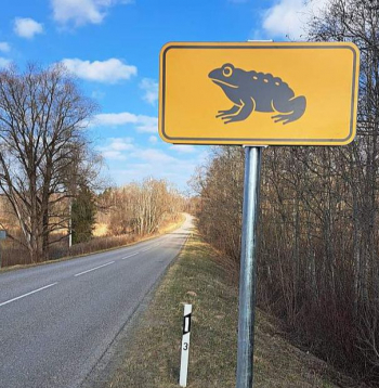 Ar speciālām ceļa zīmēm autovadītājus brīdina par krupju migrācijas ceļiem. Ar speciālām ceļa zīmēm autovadītājus brīdina par krupju migrācijas ceļiem.