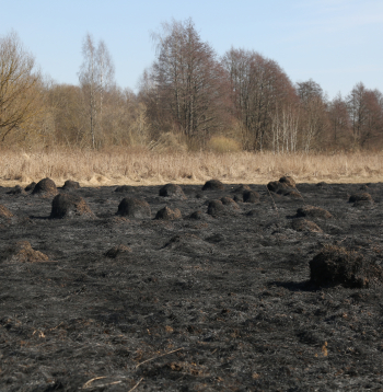 Kūlas ugunsgrēka sekas. Ilustratīvs attēls.