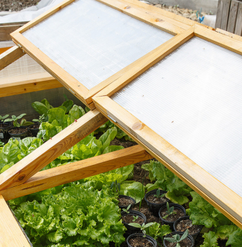 Lecekts ar paceļamu polikarbonāta vāku.