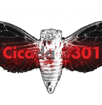 “Cicada 3301” ir mīklu komplekti, kas tika publicēti tiešsaistē, sākot no 2012. gada.