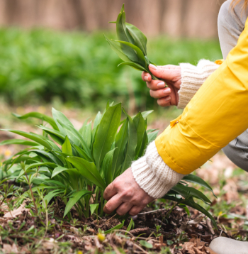 Ilustratīvs attēls.