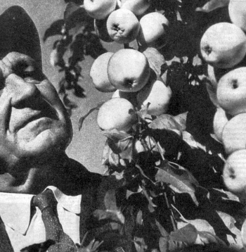 Pēteris Upītis (1896–1976). Pēteris Upītis (1896–1976).
