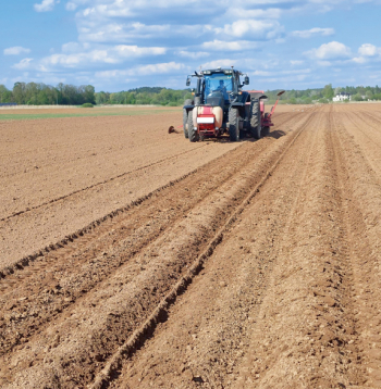 Čipsu kartupeļu stādīšana Pierīgā, SIA "Latfood Agro" apsaimniekotajos laukos Ādažos. Kartupeļu stādīšana notiek ar četrrindu stādītāju. Desmit dienās saimniecībā iestādīja kartupeļus 61 ha platībā.