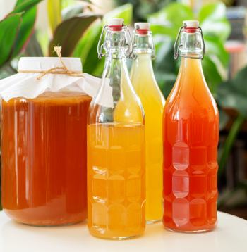 Fermentētus dzērienus ieteicams lietot mērenībā un kā daļu no daudzveidīga uztura, jo to sastāvā var būt arī cukurs vai neliels alkohola daudzums.