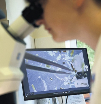 Jūras dibena organismu izpētes process Latvijas Hidroekoloģijas institūta laboratorijā. Jūras dibena organismu izpētes process Latvijas Hidroekoloģijas institūta laboratorijā.
