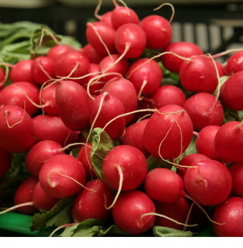 Ar lielo C vitamīna daudzumu redīsi sapurina imunitāti, stiprina asinsvadu sieniņas.