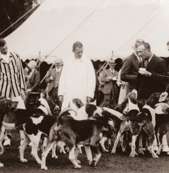 Līdz 1914. gadam Rīgā rīkotās medību suņu izstādes nebija domātas latvju medniekiem, bet tās apkalpoja zināmu priviliģēto šķiru. Ilustratīvs attēls.